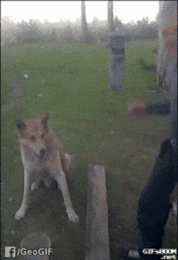 GIF by Demic