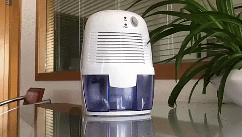giphyupload GIF