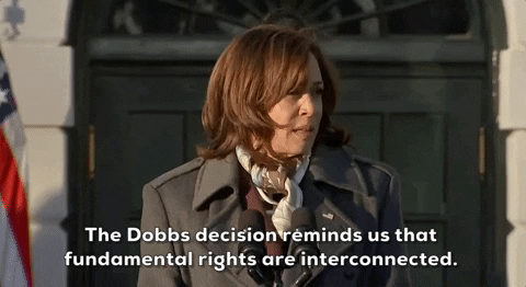 Kamala Harris Dobbs GIF by GIPHY News