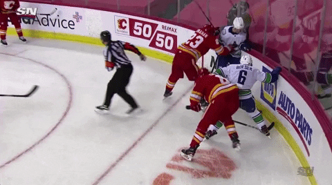 robthehockeyguy giphygifgrabber GIF