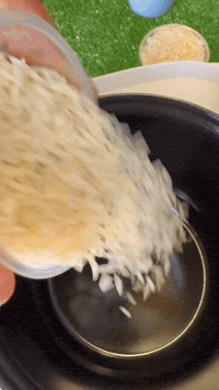 Korean Chili Rice, One Click | Rice Robot