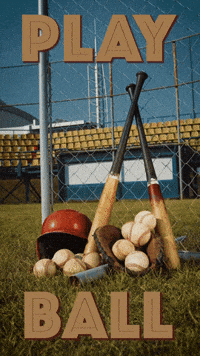 Lets Go Win GIF by Sealed With A GIF