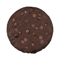 Chocolatecookie Proteincookie Sticker by NuGo Nutrition