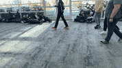 Twitch Camera GIF
