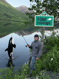 Fishing Orca GIF