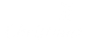 Merry Christmas Sticker by DesqWorld