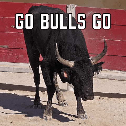 Chicago Bulls Sport GIF by Sealed With A GIF