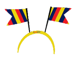 World Cup Football Sticker by Intersport