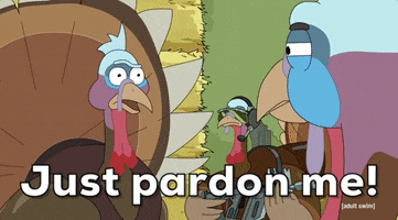 Pardon Me Season 5 GIF by Rick and Morty