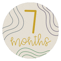 Baby Milestone Sticker