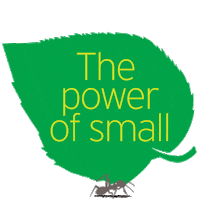 timetochange mental health leaf small ant Sticker