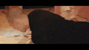 ghost in the machine help GIF