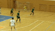 czech-north-media sport futsal headshot czech sport GIF
