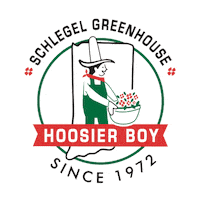 hoosierboyplantco grower hoosierboyplantco hoosierboyplants schlegelgreenhouse Sticker