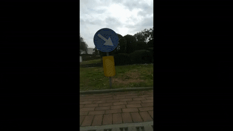 Simongip giphygifmaker GIF