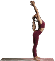 Bridge Stretching Sticker by Fit & Flexy