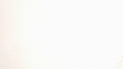 Northtexas Meangreen GIF by University of North Texas