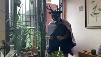 Deerman caught again