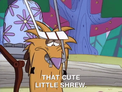 nickrewind giphydvr nicksplat angry beavers giphyab017 GIF