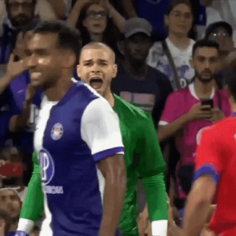 Paris Saint-Germain Psg GIF