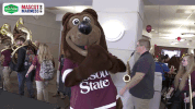 missouri state ncaa GIF by Missouri Valley Conference