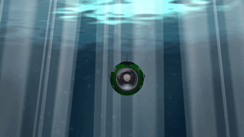 water ocean GIF by South Park 