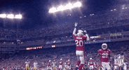 Pittsburgh Steelers Football GIF by NFL