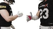 American Football Sticker by Frankfurt Galaxy
