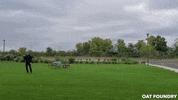 GIF by Oat Foundry