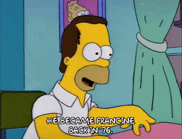 homer simpson episode 10 GIF