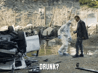 Drunk Liam Neeson GIF by The Lonely Island