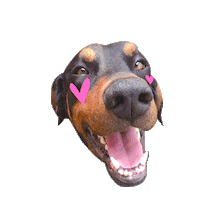 Dog Thanks Sticker by MARDYCOLOR