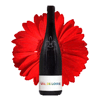 VinsValdeLoire wine red wine loire french wine Sticker