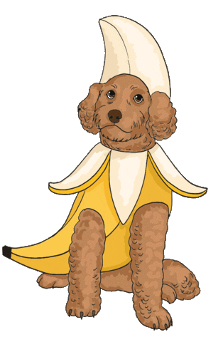 KarenMabon banana cavapoo cockapoo dog costume Sticker