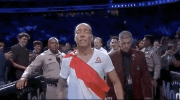 Sport Mma GIF by UFC