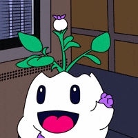 Happy I Did It GIF by Magic Eden