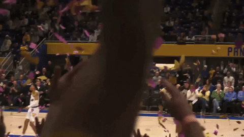 Excited College Sports GIF by Pitt Panthers