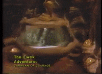 mdleone caravan of courage GIF