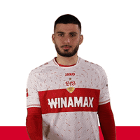 Komm Doch Lets Go GIF by VfB Stuttgart