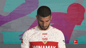 Vfb Stuttgart Football GIF by Bundesliga