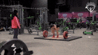 235lb Dead Lift