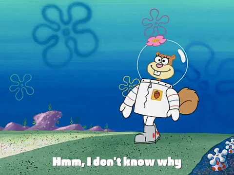 season 3 the great snail race GIF by SpongeBob SquarePants