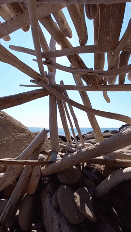 Simongip giphygifmaker GIF