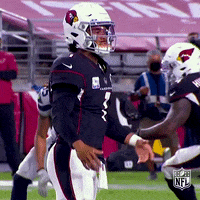Regular Season What GIF by NFL