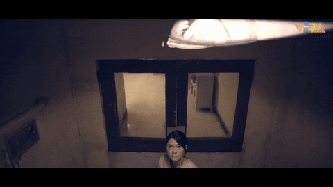 VivaFilms giphyupload horror shocked scared GIF