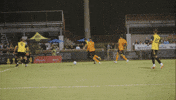 South Carolina Soccer GIF by Charleston Battery