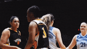 Caledoniagladiators celebration basketball celebrate lets go GIF