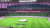 Formula 1 F1 GIF by TempInbox