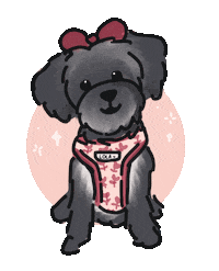 Kitten Teddy Sticker