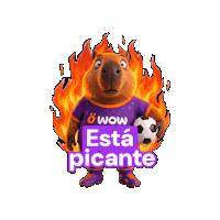 Wowfut Sticker by WOW Perú